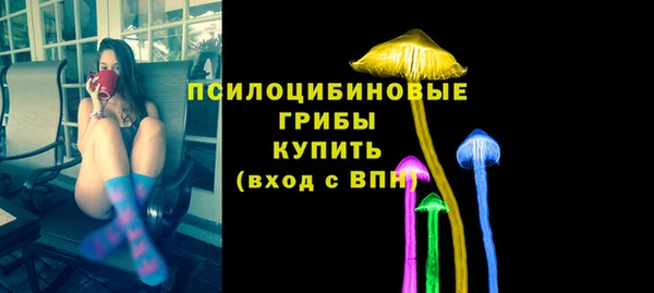 ECSTASY Пионерский