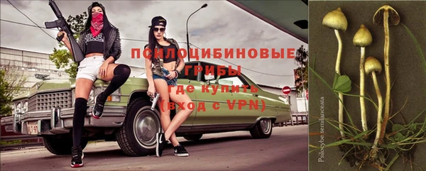 бутират Нязепетровск