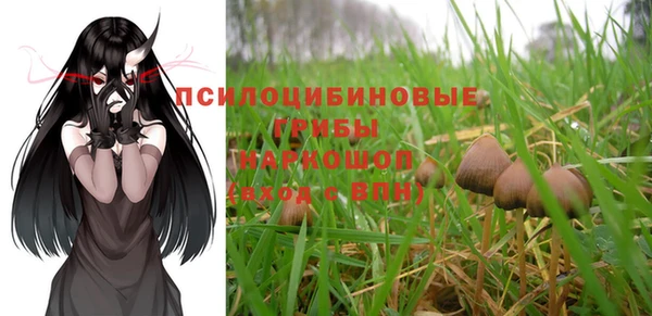 прущие грибы Печоры