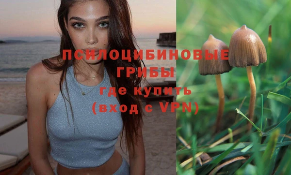 синтетический гашиш Осинники